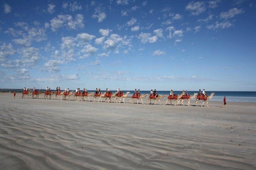 A group of camels on a beach with a clear sky. 2