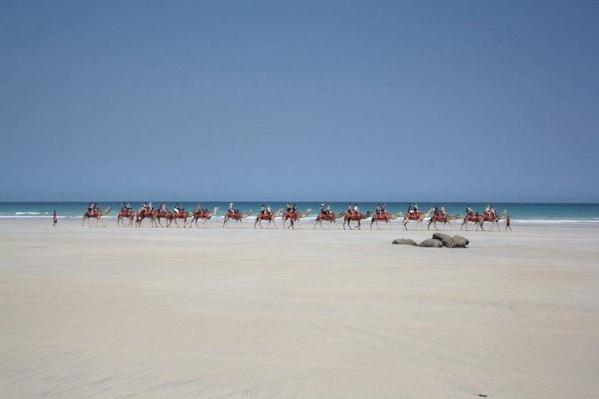 A beach with a camel caravan. 3