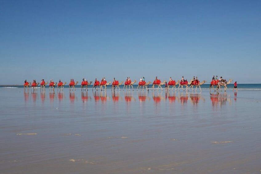 A group of people in red shirts riding camels on a beach. 4