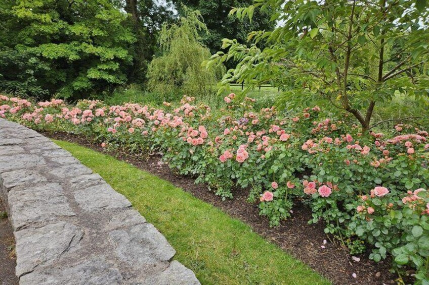 A garden with pink roses, a stone pathway, and a variety of trees. 4