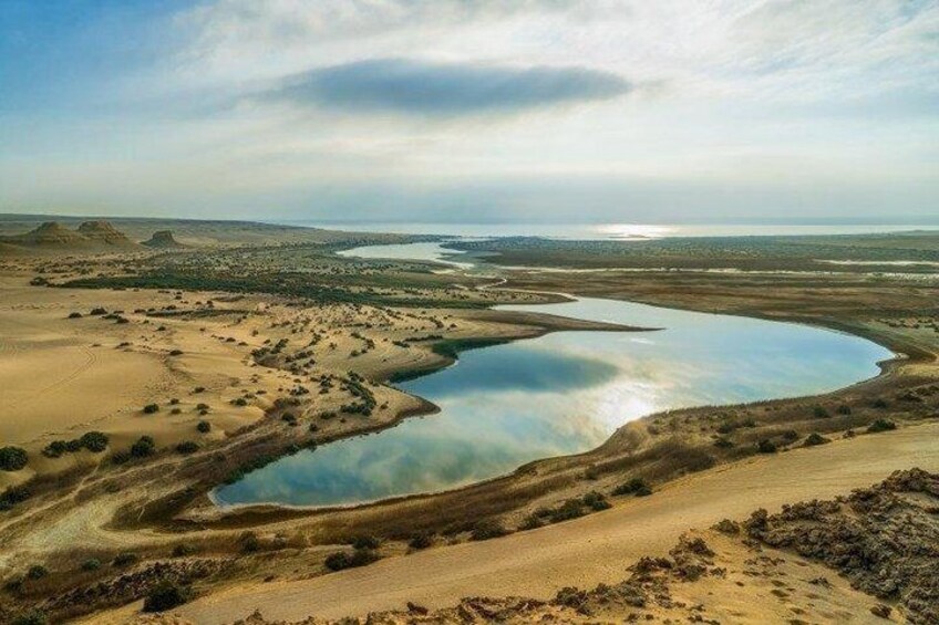 Fayoum Oasis Day Tour From Cairo Wadi El Hitan And Rayan 1