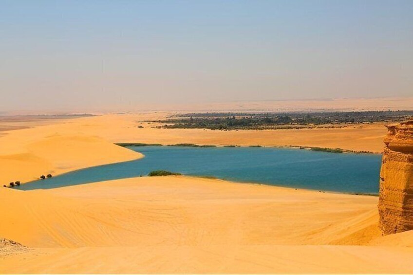 Fayoum Oasis Day Tour From Cairo Wadi El Hitan And Rayan 5