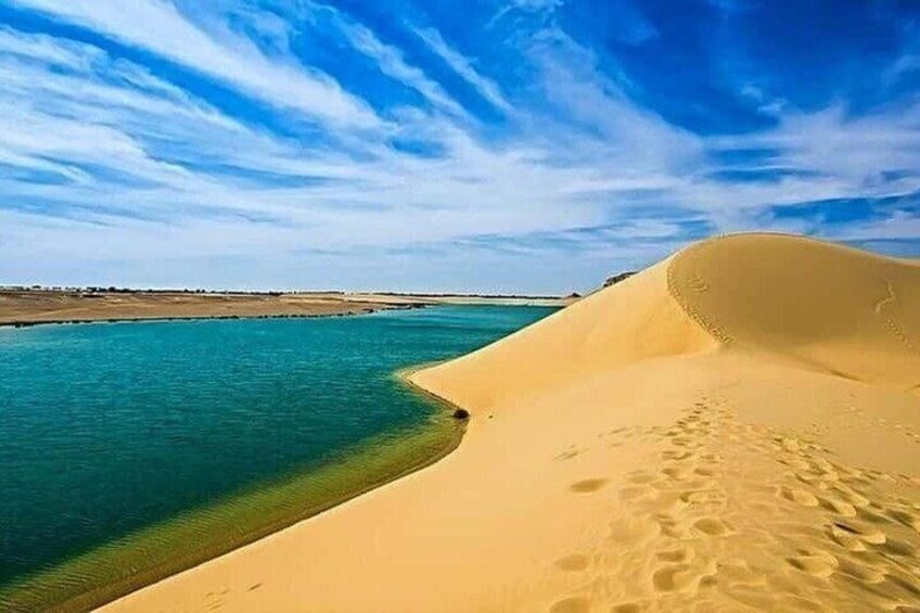 Fayoum Oasis Day Tour From Cairo Wadi El Hitan And Rayan 2