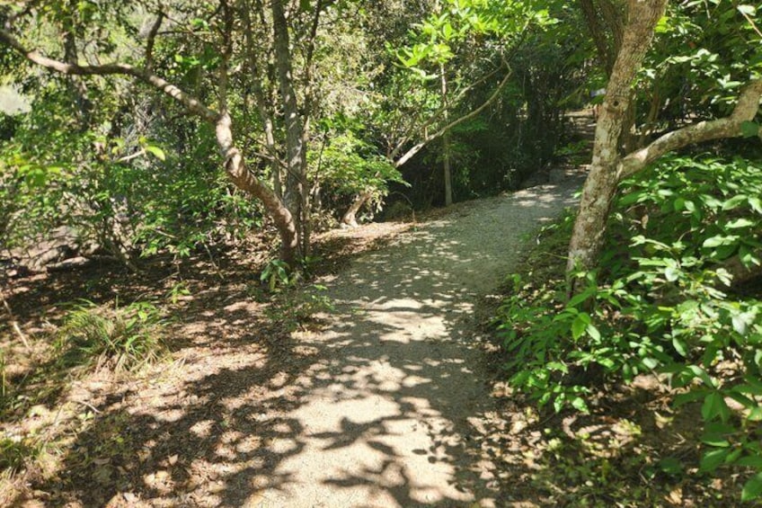Magnetic Island Adventurer Tour 5