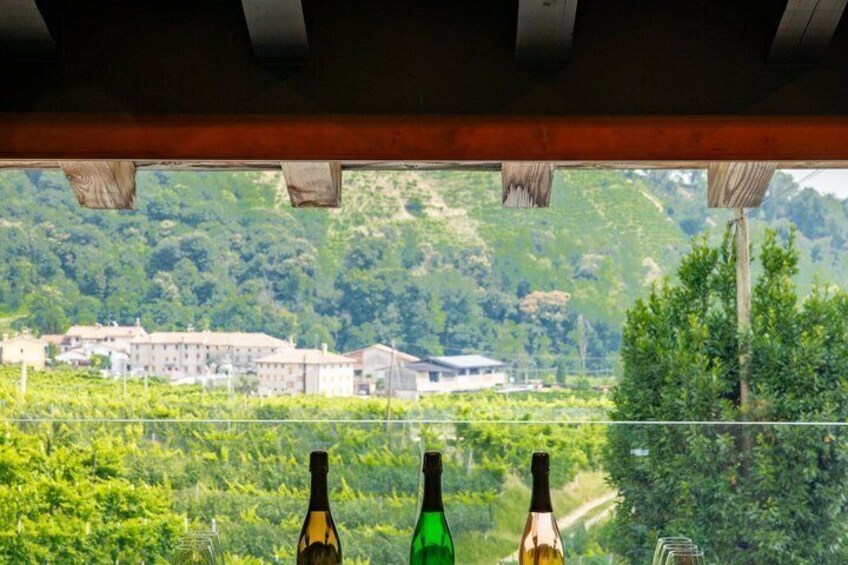 The Pyramid: three sparkling wines, snacks and winery tour 5