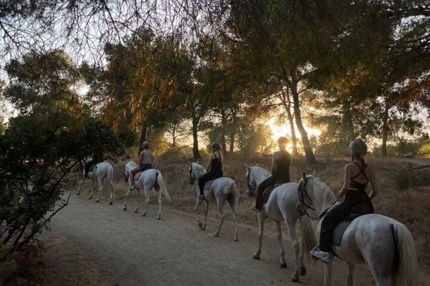 Horseback Riding in Malaga Natural Park 4