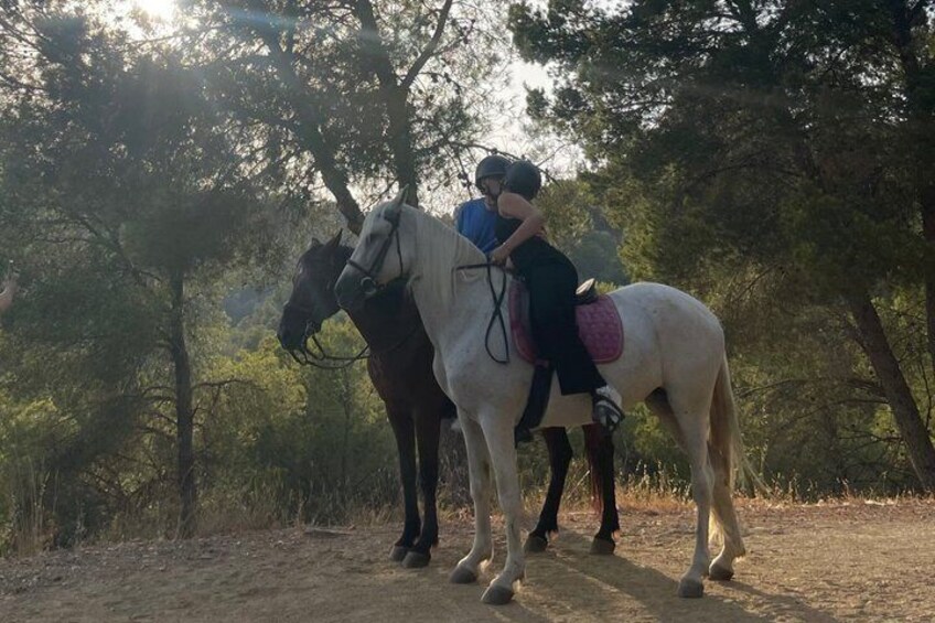 Horseback Riding in Malaga Natural Park 5