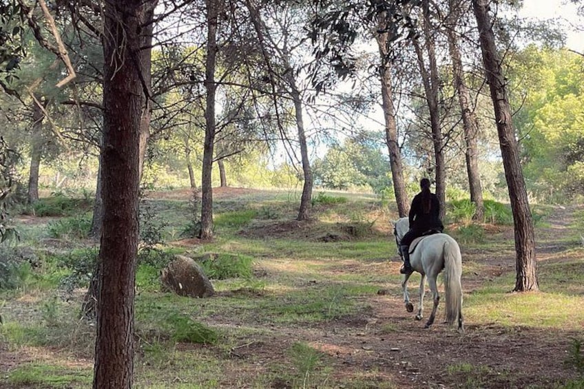 Horseback Riding Tour of Malaga Natural Park 5