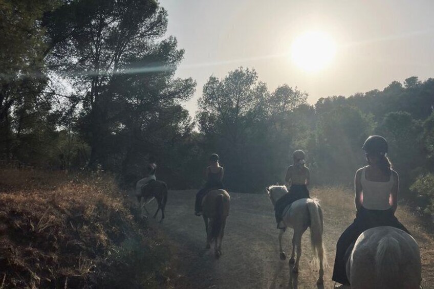 Horseback Riding in Malaga Natural Park 2
