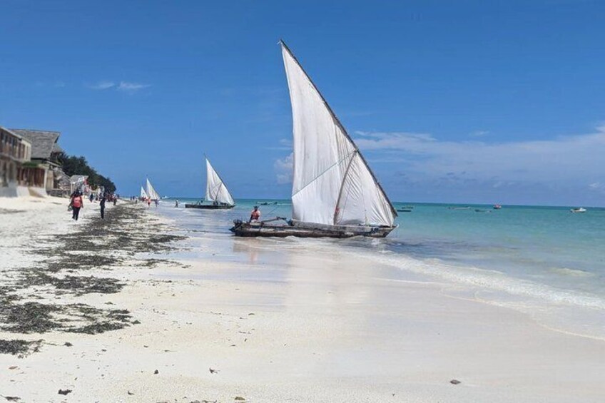 Jozani Forest Kuza Cave Paje Beach and Rock Restaurant Tour 2