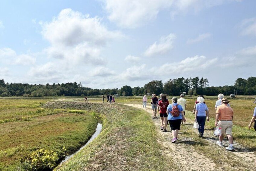 New England Cranberry Farm Tour Guided Experience and Local Goods 2