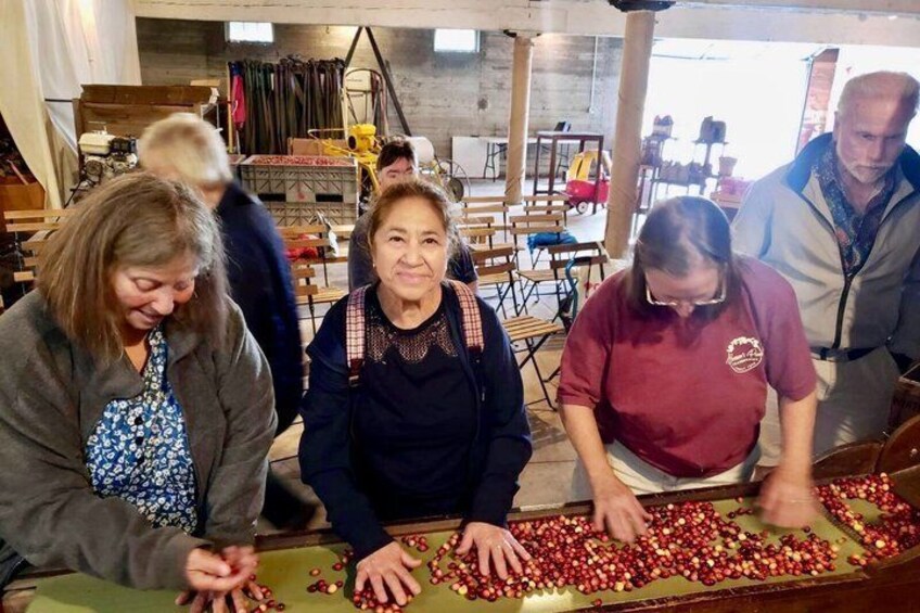 New England Cranberry Farm Tour Guided Experience and Local Goods 1
