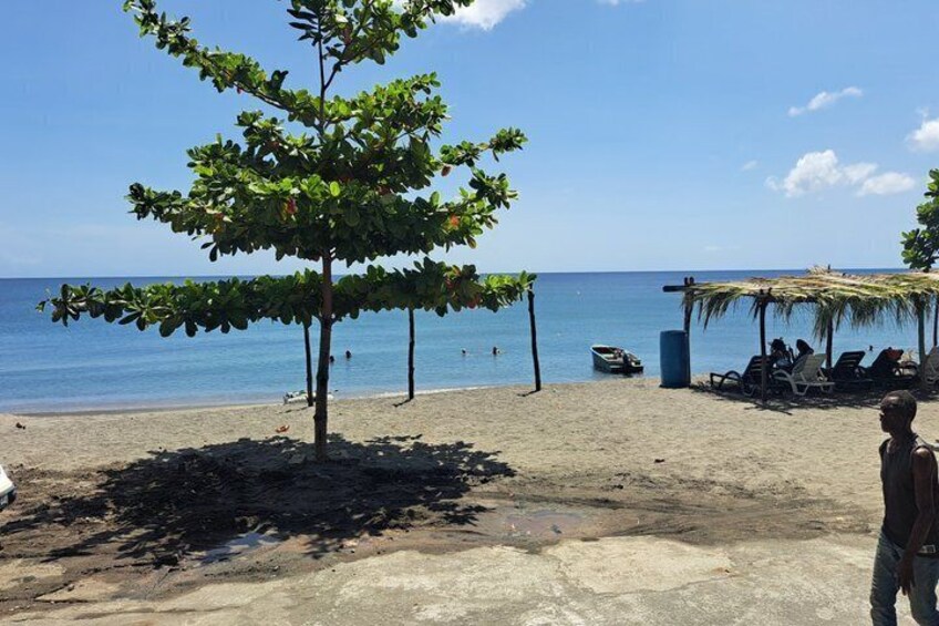 Trafalgar Falls Hot Springs and Mero Beach Tour 3