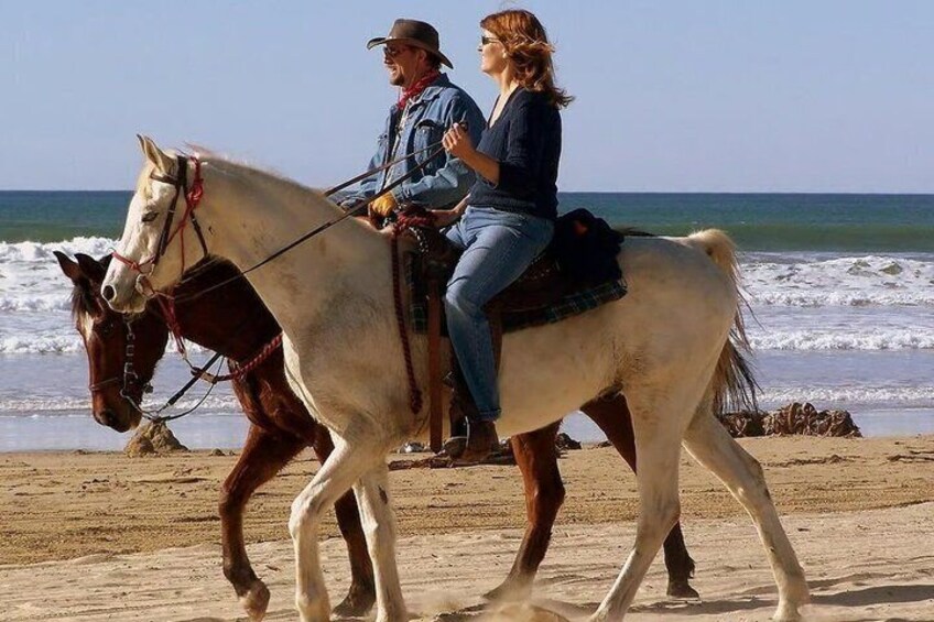 Sharm El Sheikh Red Sea Beach Horse Riding Tour 4