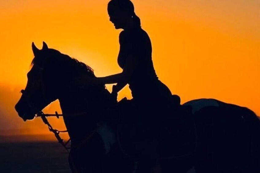Sharm El Sheikh Red Sea Beach Horse Riding Tour 3