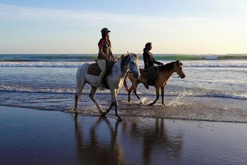 Sharm El Sheikh Red Sea Beach Horse Riding Tour 2