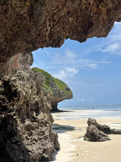 Picture 11 for Activity Zanzibar: Salam Cave Turtle Experience & Mtende Beach 2
