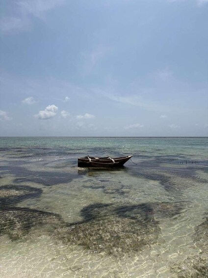 Picture 6 for Activity Zanzibar: Salam Cave Turtle Experience & Mtende Beach 3