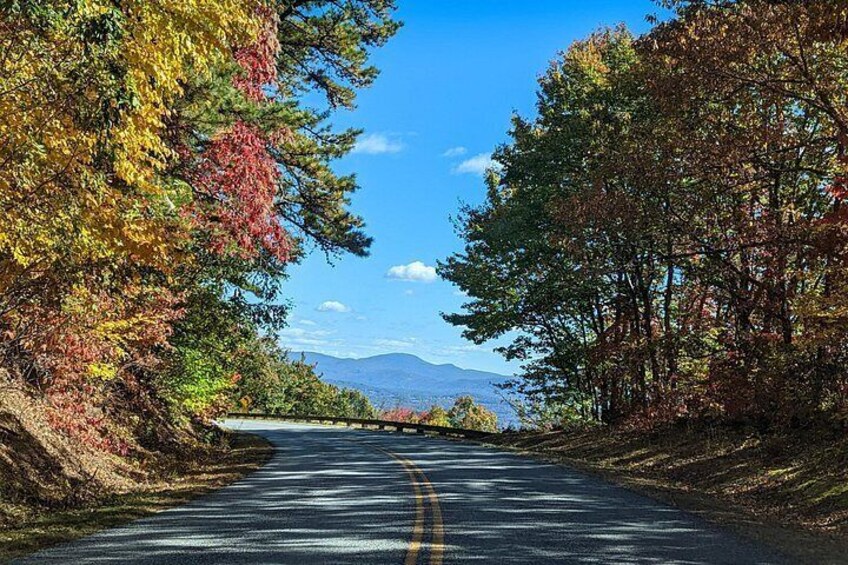 A road flanked by autumn-colored trees, leading towards distant mountains. 1