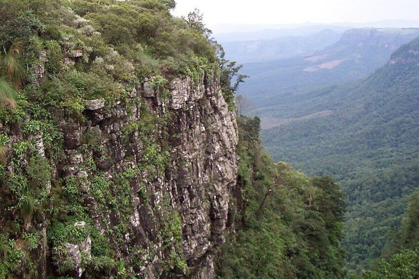 A steep, rocky cliff with dense vegetation. 5