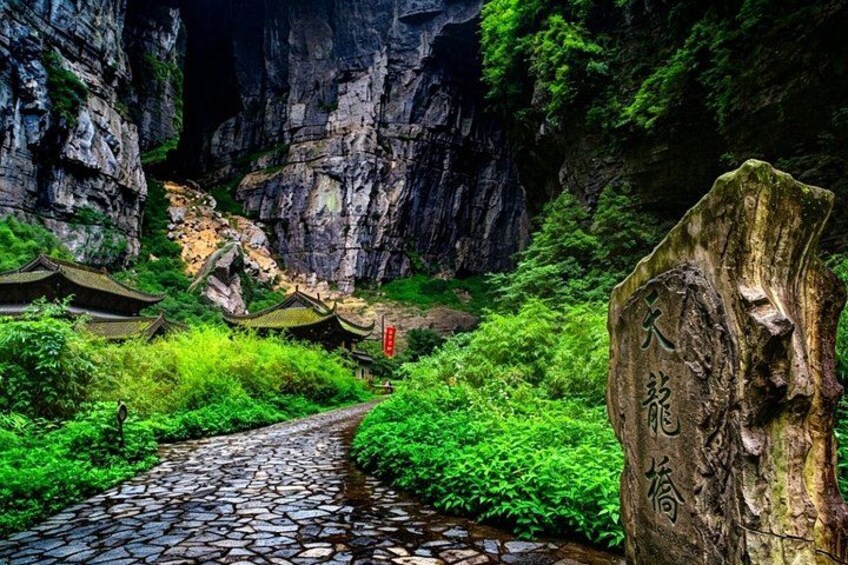 A stone pathway leading through a lush green forest with traditional buildings and a large tree with carved characters. 3
