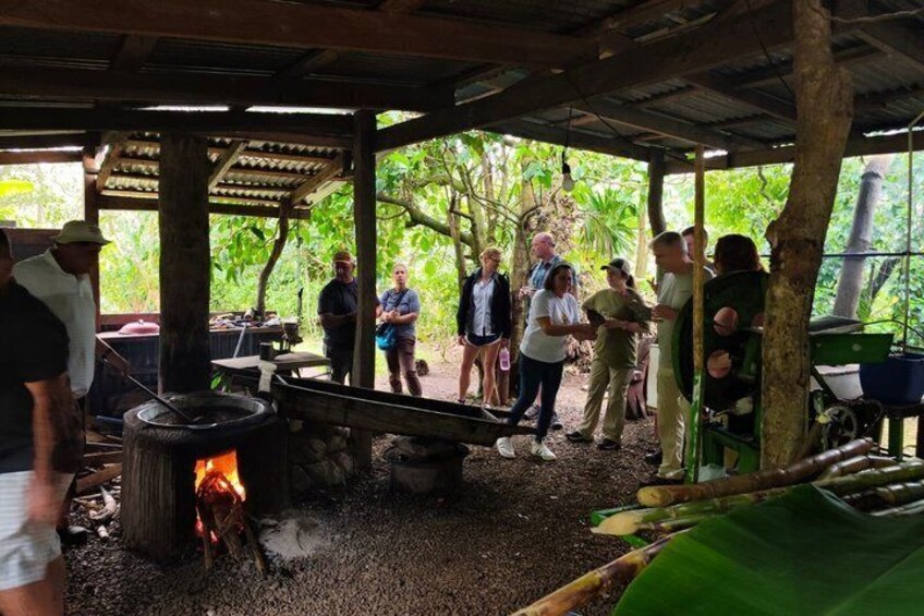 Authentic Costa Rican Sugarcane Cultural Experience 1