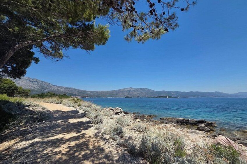 A coastal path with a clear view of the sea and distant mountains. 2