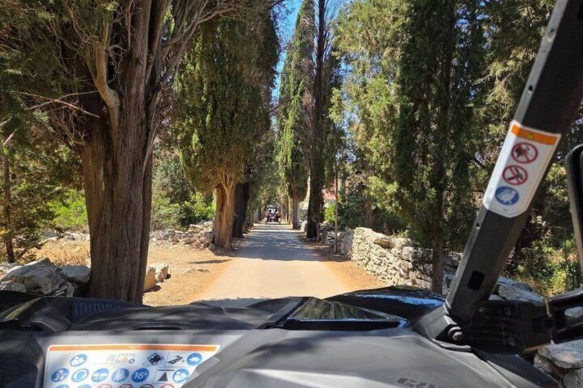 Buggy and Torkul Olive Oil Safari Quick Escape from Vela Luka 5