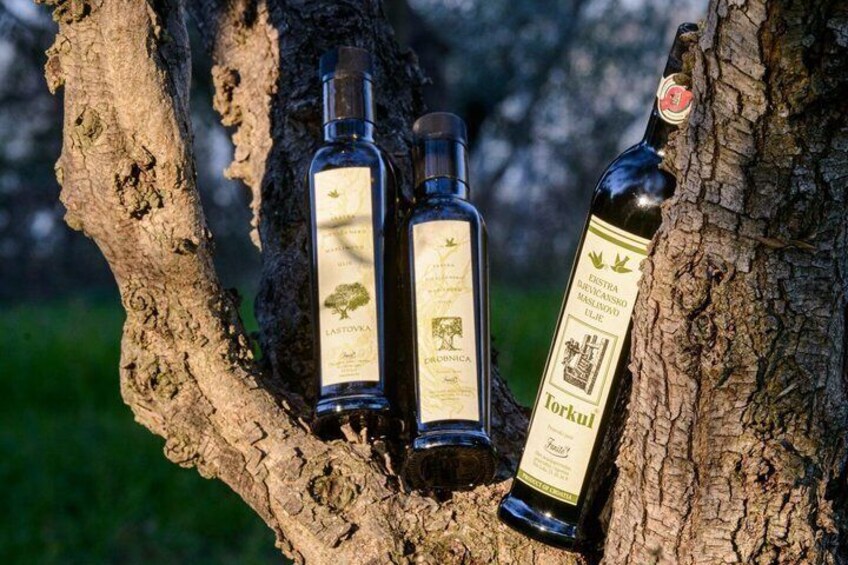 Buggy and Torkul Olive Oil Safari Quick Escape from Vela Luka 4