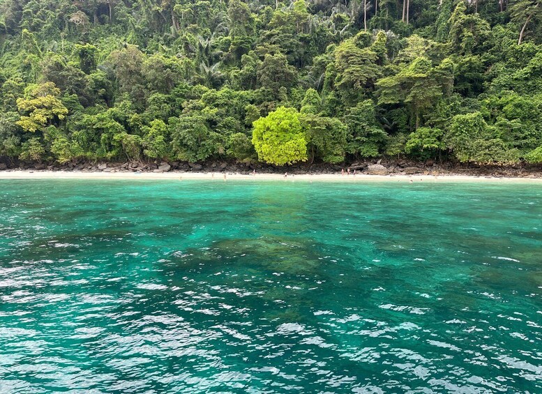 A tropical beach with clear turquoise waters and dense green foliage. 3