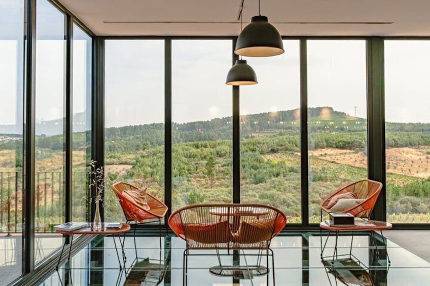 Visit and tasting DOC Douro wines in Historic Producer 5