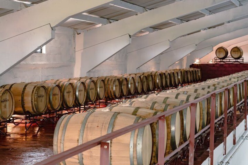 Visit and tasting DOC Douro wines in Historic Producer 4