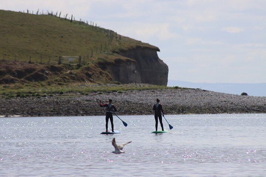 Two people paddleboarding on a calm body of water with a rocky shoreline and a cliff in the background. 2