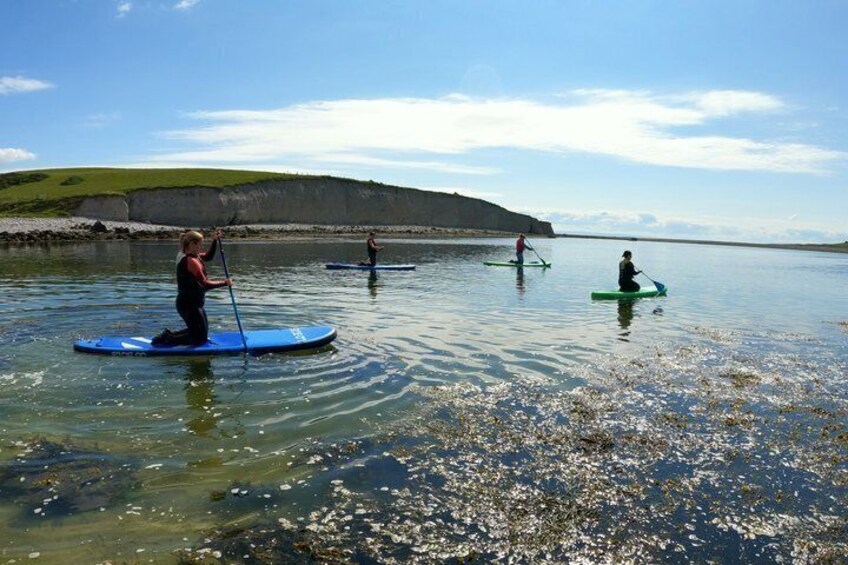 Galway City Paddleboarding Free Roam 1