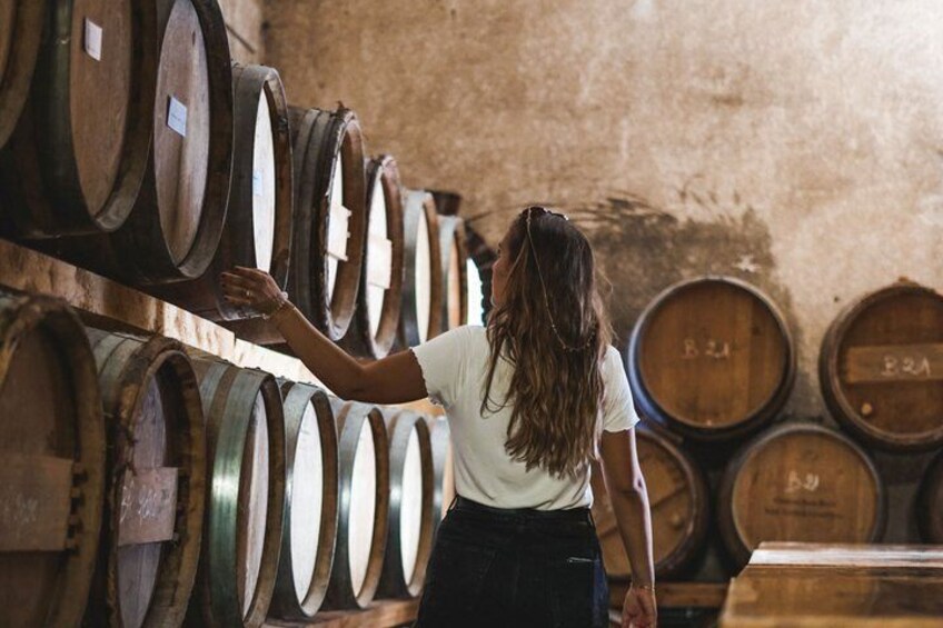 Visit of the cellar 1