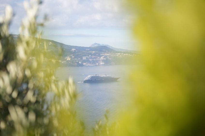 Naples Salerno Terminal Cruise Enjoy Positano and Sorrento 1
