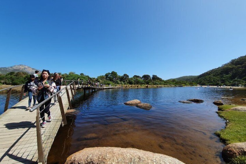 A wooden bridge over a river with people walking, surrounded by greenery and hills. 3
