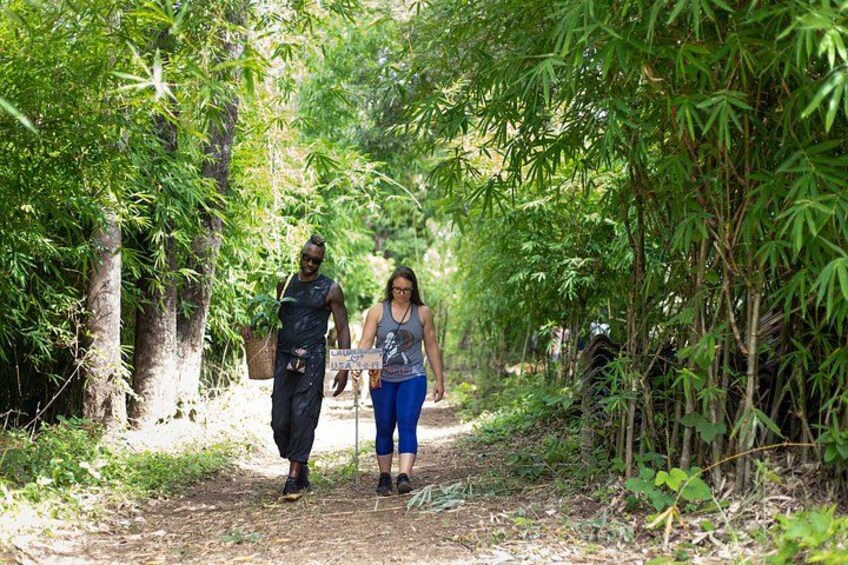 Two people walking on a dirt path surrounded by dense bamboo foliage. 2