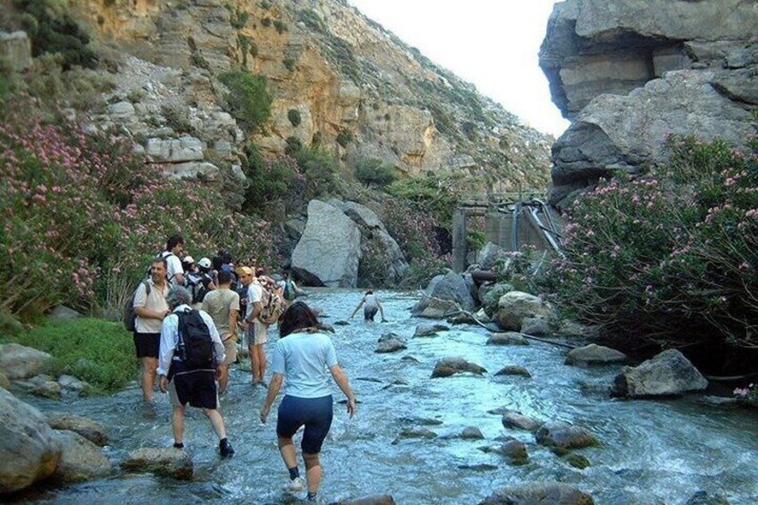 Kourtaliotiko Gorge Escape from Heraklion 5