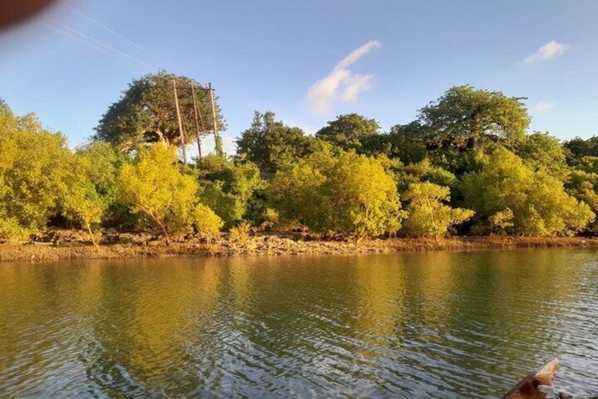 Canoeing Sundowner Tour on Kongo River 2