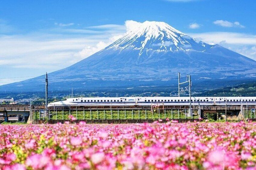 Mount Fuji Hakone Trip with Ropeway Optional Bullet Train Return 1