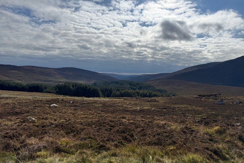 A hilly landscape with sparse vegetation and a cloudy sky. 3