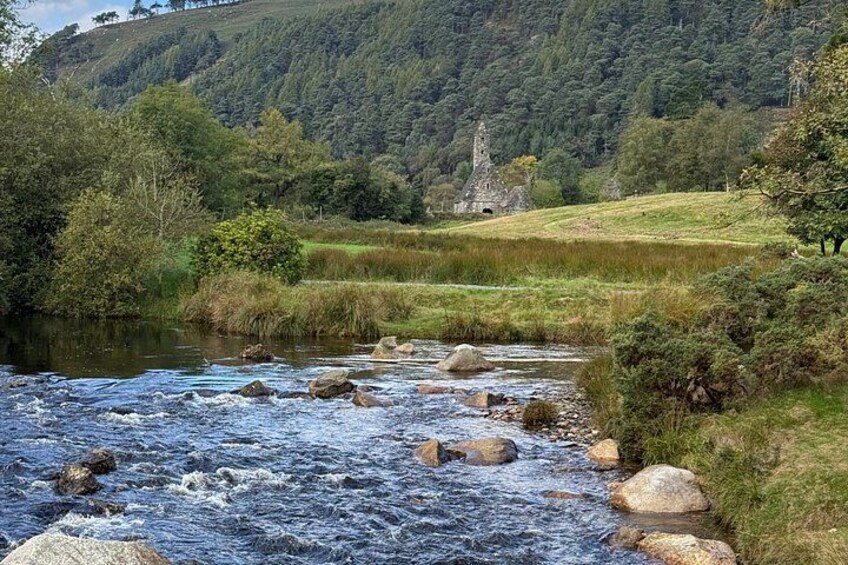 A river with rocks, a grassy area, and a forested hill in the background. 4