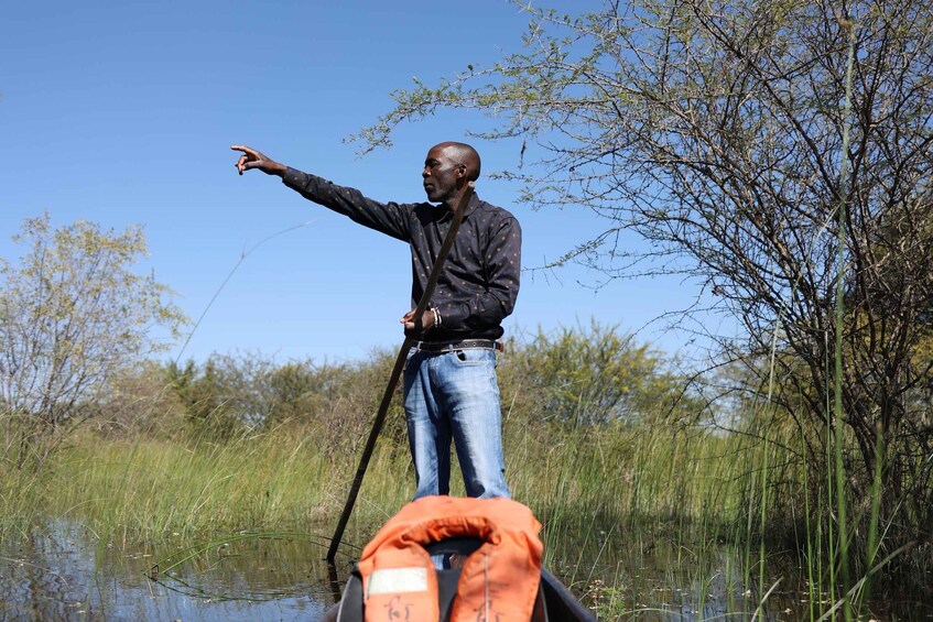 Picture 1 for Activity Sunset mokoro tour in Maun, a taste of the Okavango Delta 4