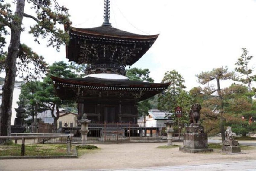 Amanohashidate and Ine Bay Private Trip from Kyoto 4
