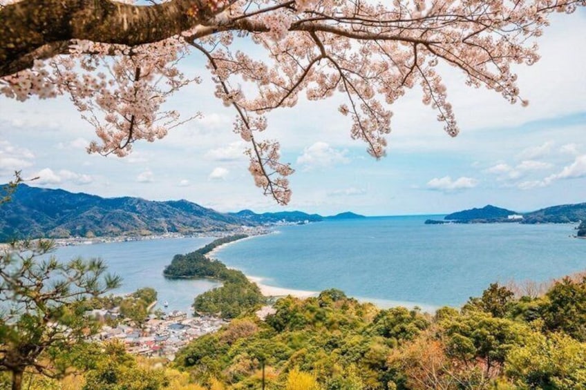 Amanohashidate and Ine Bay Private Trip from Kyoto 1