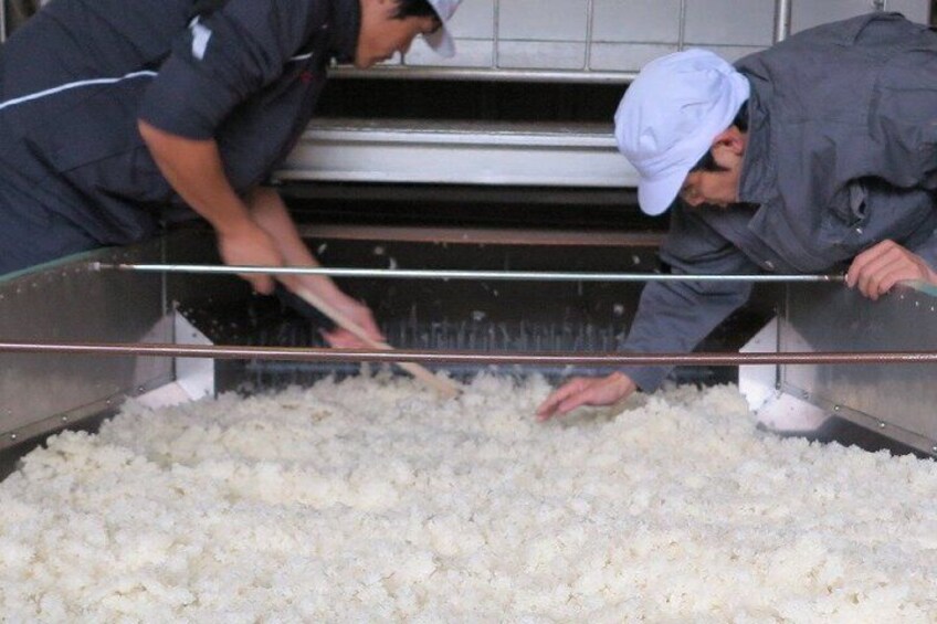 Yamada Shuzo Sake Brewery Visit with Tasting 3