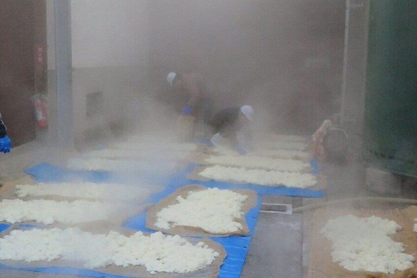 Yamada Shuzo Sake Brewery Visit with Tasting 4
