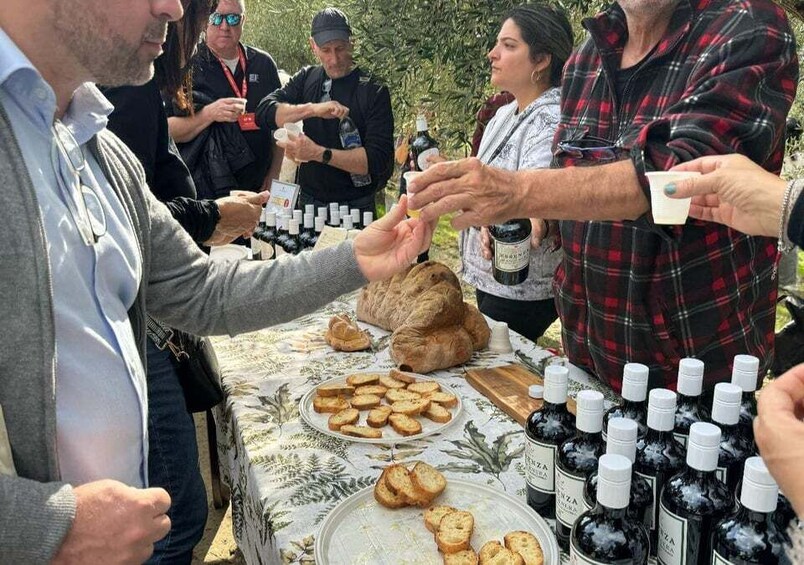 From Matera: Olive Oil Experience in Tricarico with Transfer 1
