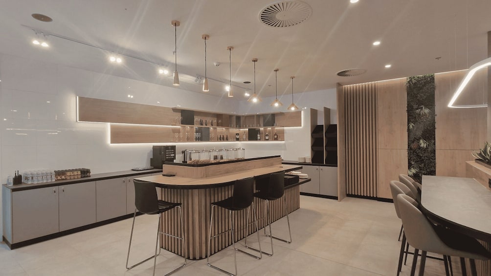 Picture 1 for Activity SJJ Sarajevo INTL Airport Business Lounge Access 3